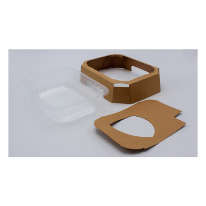 ANL Packaging Turtlebox